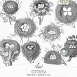 Wheel Of The Year Ostara by A Whimsical Adventure at Oscraps | Bird Nests