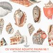 CU Vintage Aquatic Fauna No 1 Shells by A Whimsical Adventure at Oscraps