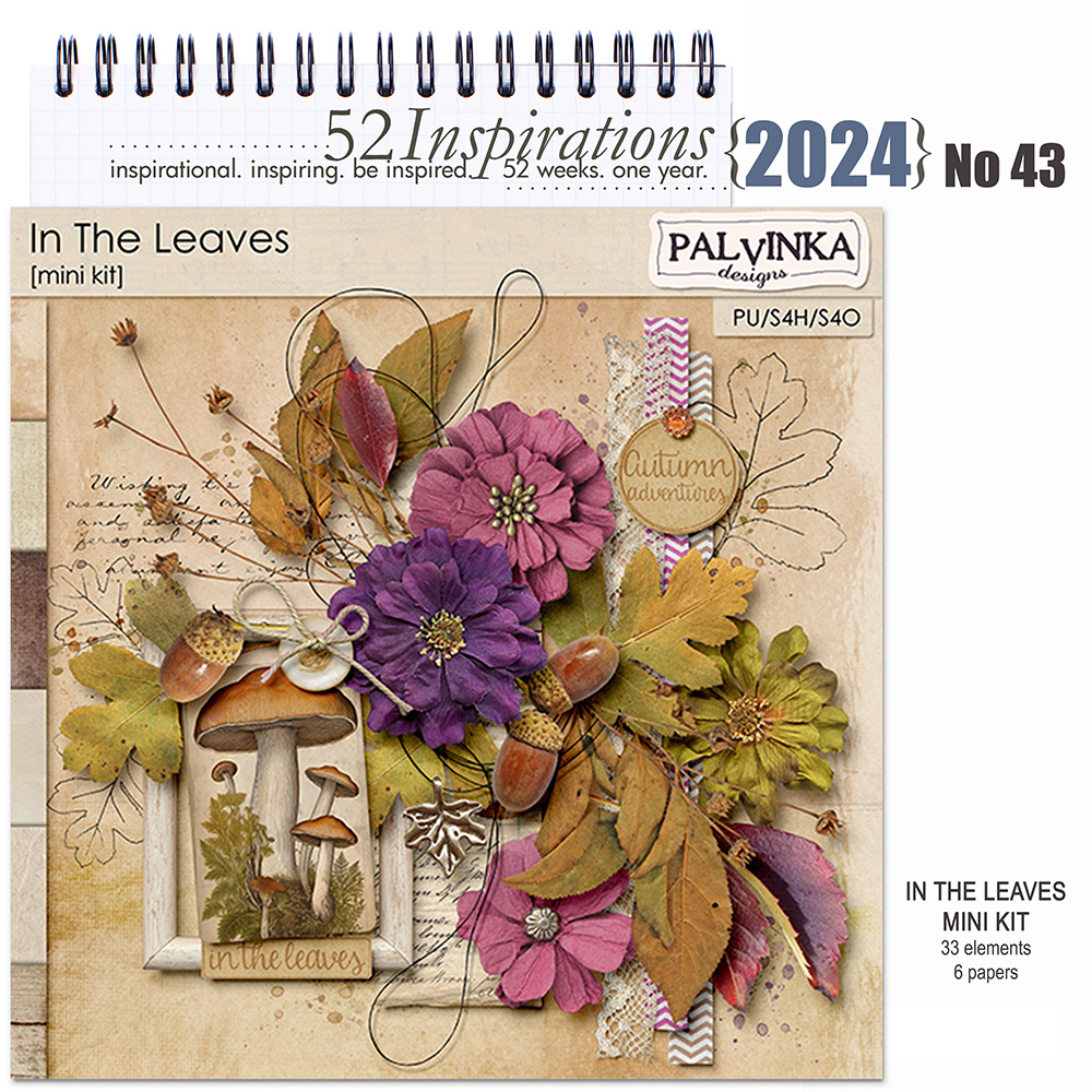 52 Inspirations 2024 No 43 In the Leaves by Palvinka