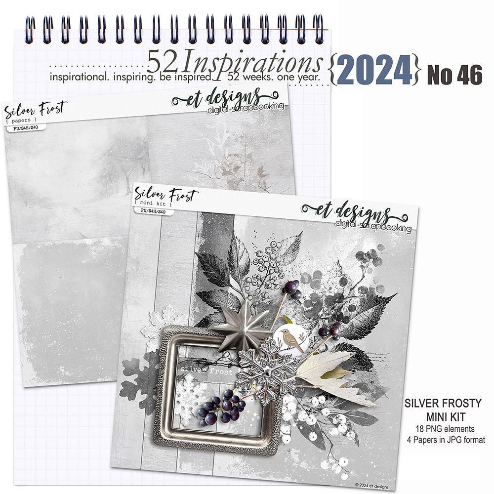 52 Inspirations 2024 No 46 Silver Frost by et designs