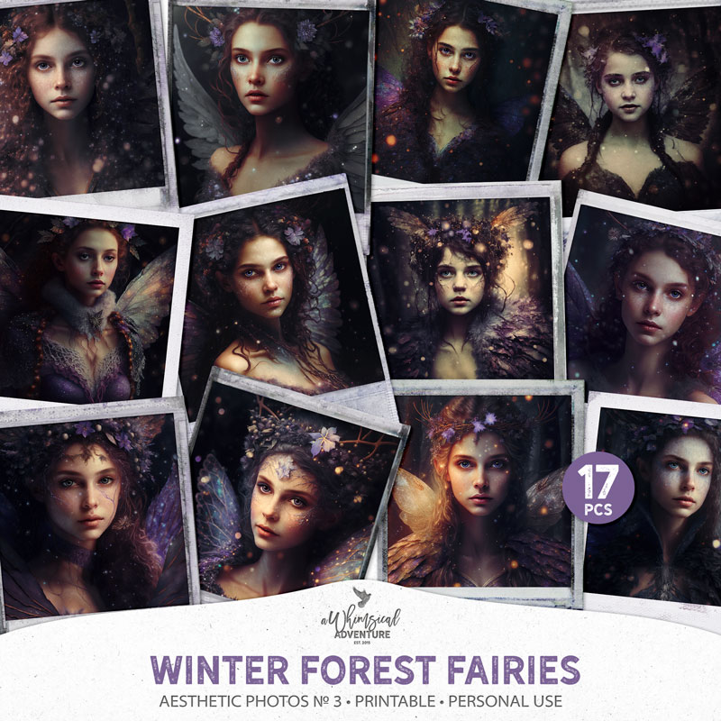 Aesthetic Photos No 3 Winter Forest Fairies