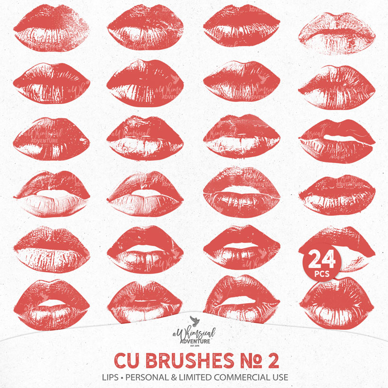 CU Brushes No 2 Lips