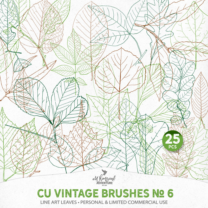 CU Vintage Brushes No 6 Line Art Leaves