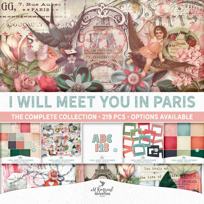 I Will Meet You In Paris