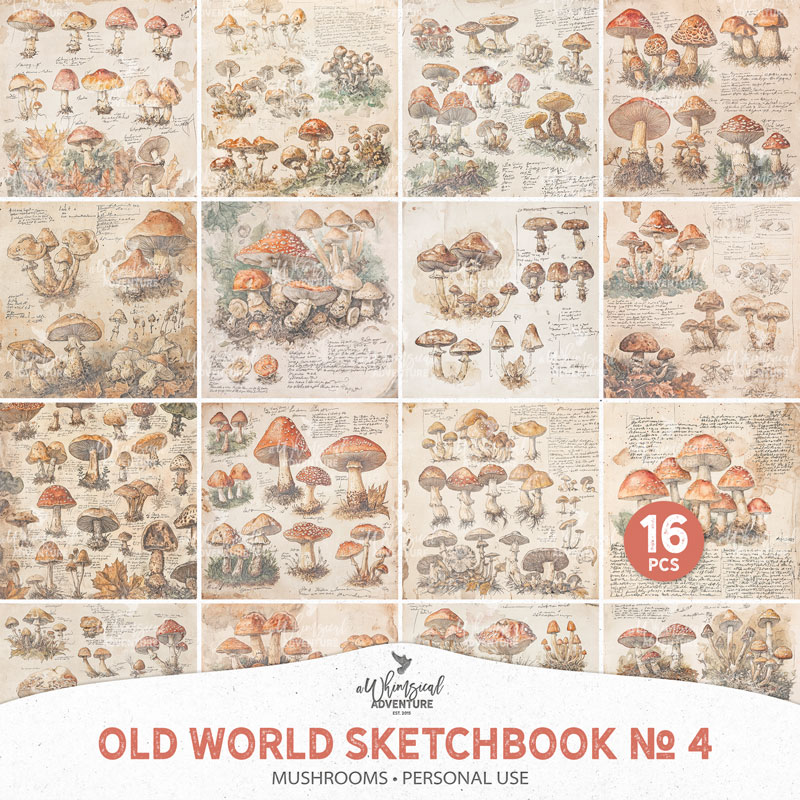 Old World Sketchbook No 4 Mushrooms