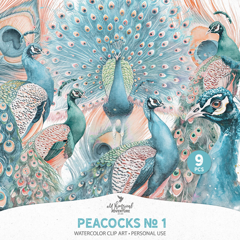 Peacocks No 1