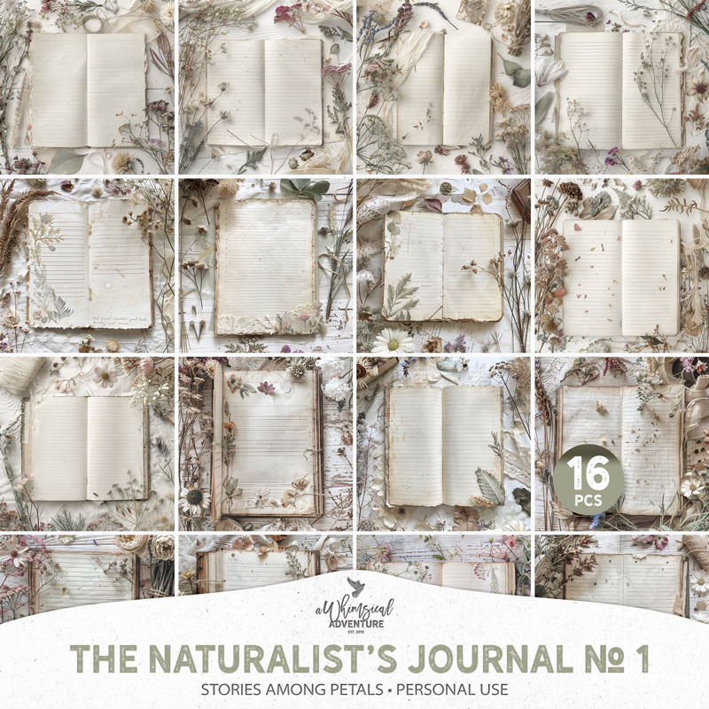 The Naturalist's Journal No 1 Stories Among Petals