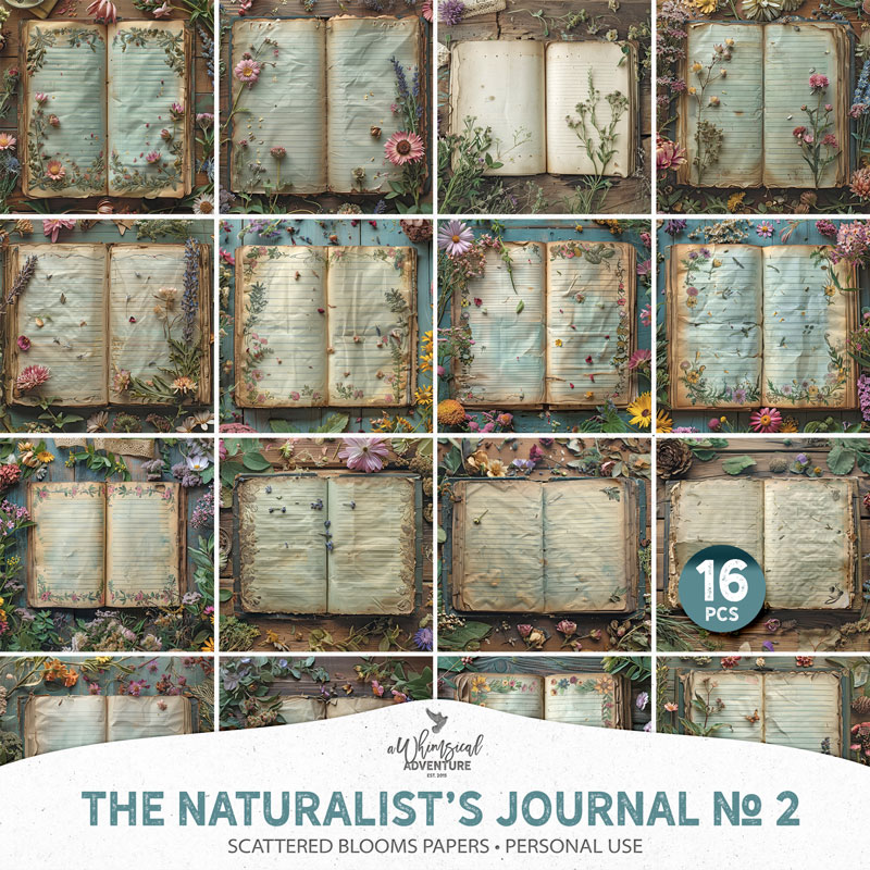 The Naturalists Journal No 2 Scattered Blooms