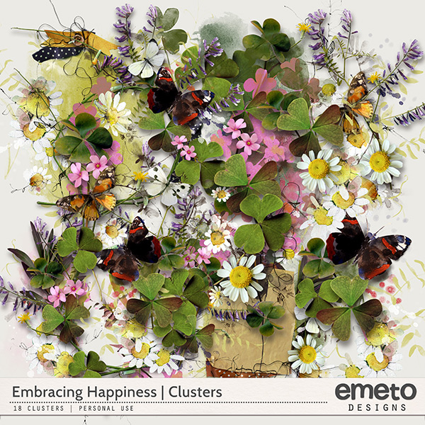 Embracing Happiness Clusters