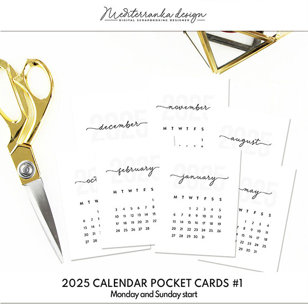 2025 monthly calendar Volume 1 (Pocket cards)