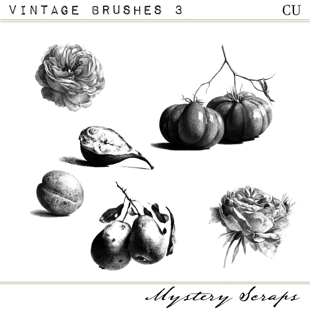 CU Vintage Brushes 3 by Mystery Scraps 