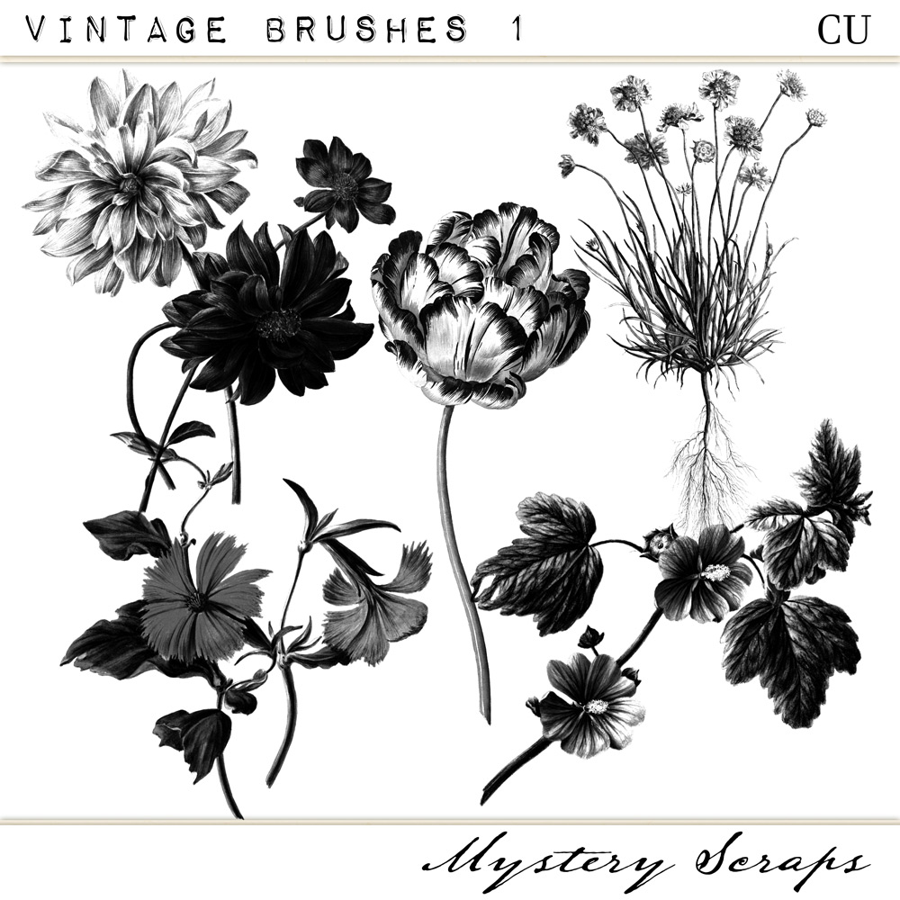 CU Vintage Brushes 1 by Mystery Scraps