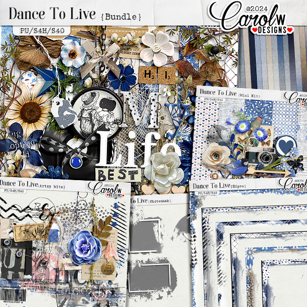 Dance To Live-Bundle