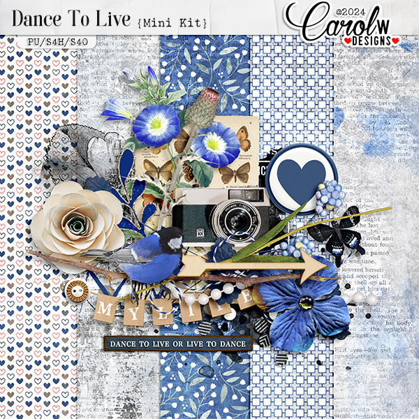 Dance To Live-Mini Kit