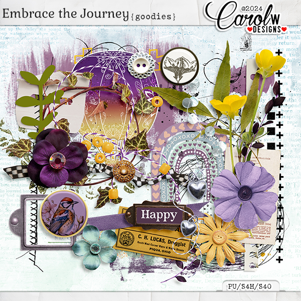 Embrace the Journey-Goodies