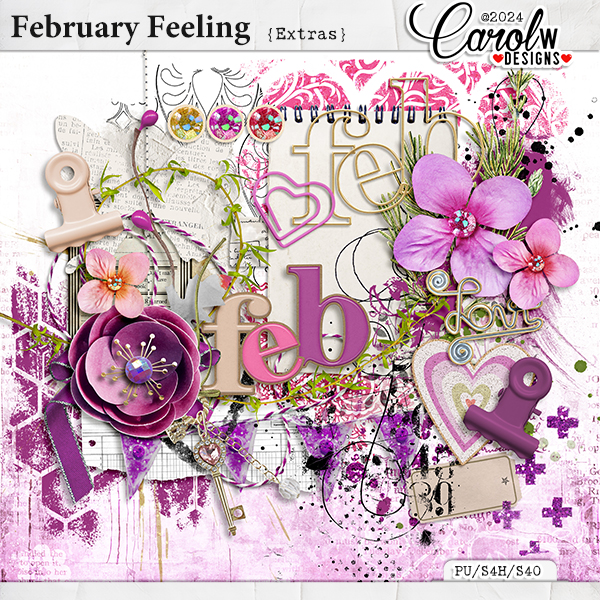 February Feeling-Extras