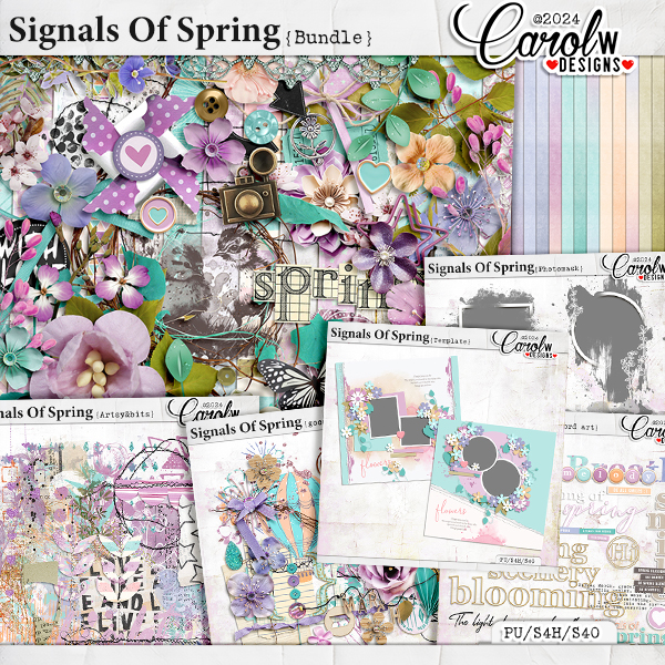 Signals Of Spring-Bundle