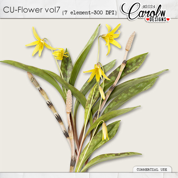 CU Flower-Vol 7