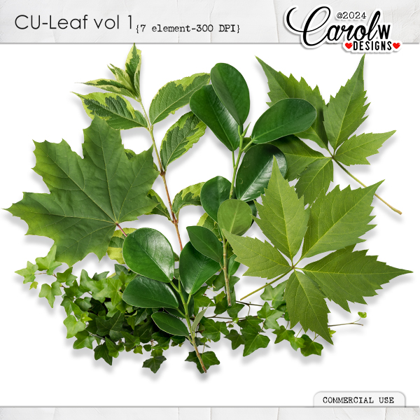 CU Leaf vol1