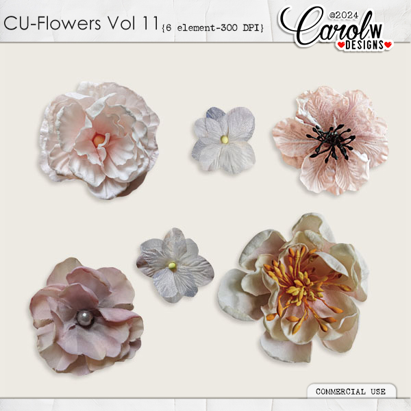 CU Flower-Vol 11