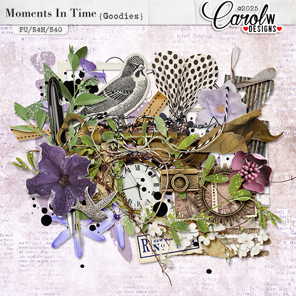 Moments In Time-Goodies