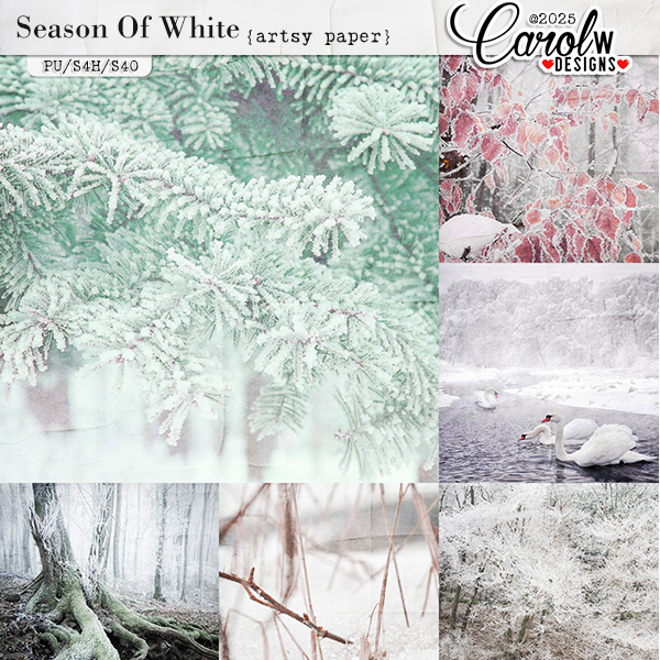 Season Of White-Artsy papers