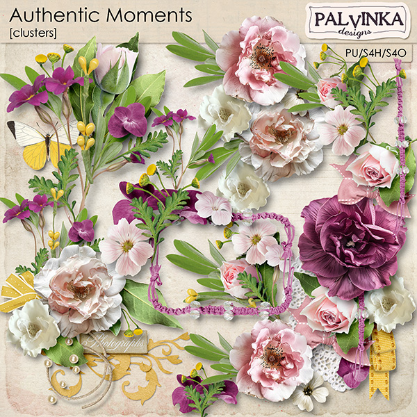 Authentic Moments Clusters