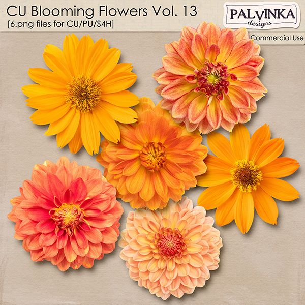 CU Blooming Flowers 13