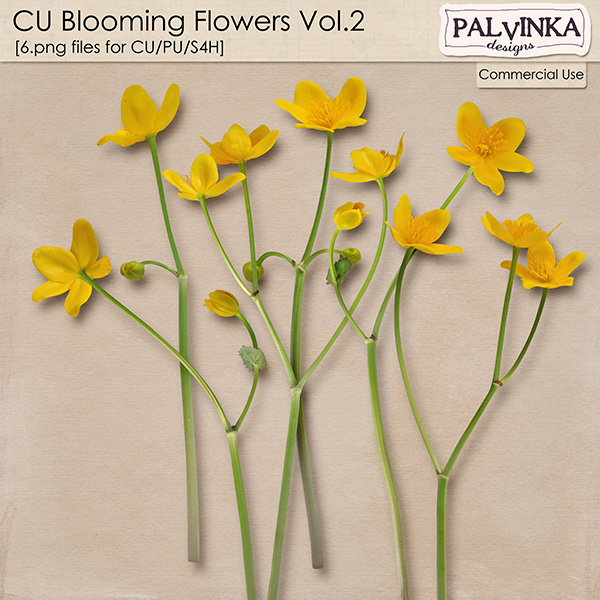 CU Blooming Flowers Vol.2