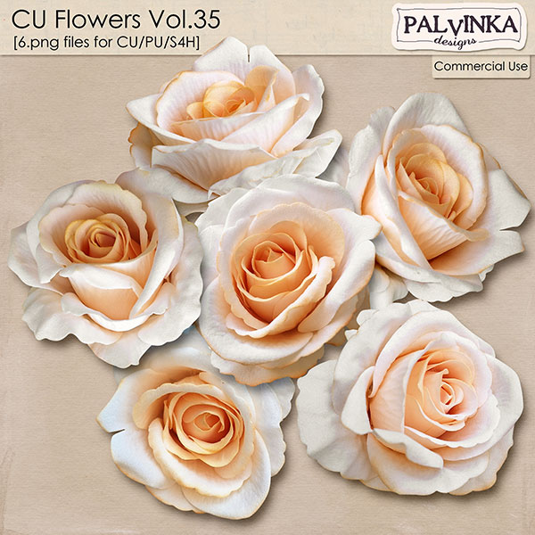 CU Flowers 35