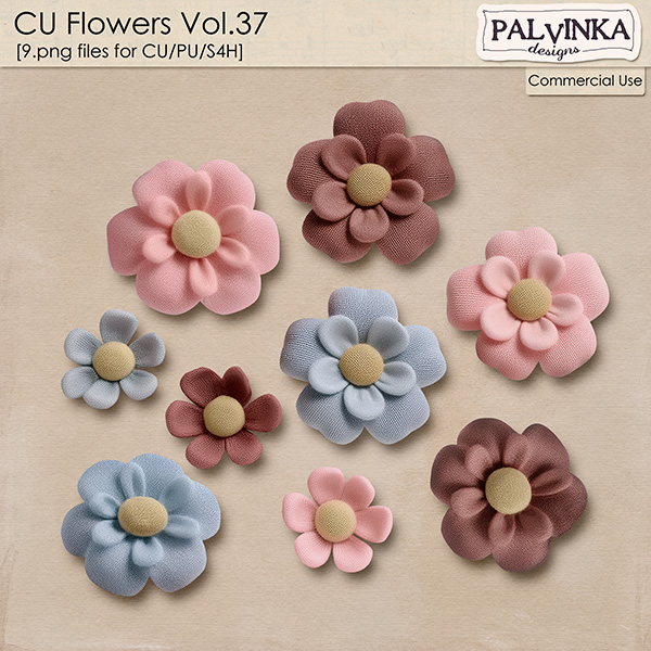 CU Flowers 37