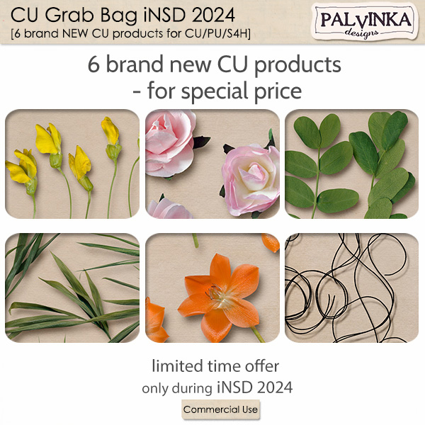 CU Grab Bag iNSD 2024