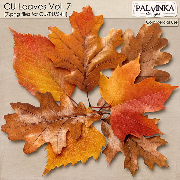 CU Leaves 7