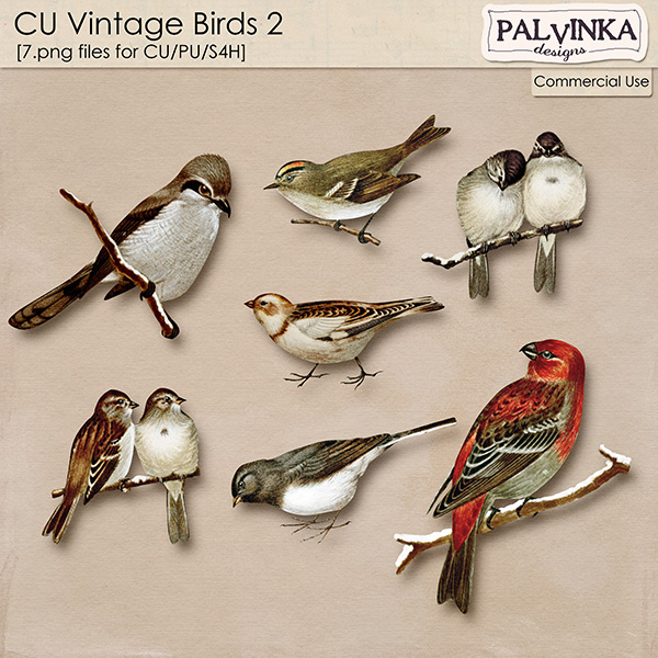 CU Vintage Birds 2