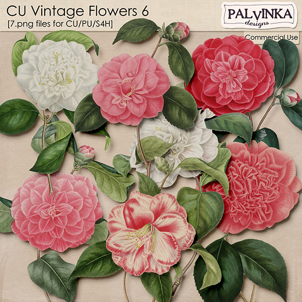 CU Vintage Flowers 6