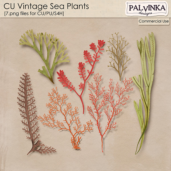 CU Vintage Sea Plants