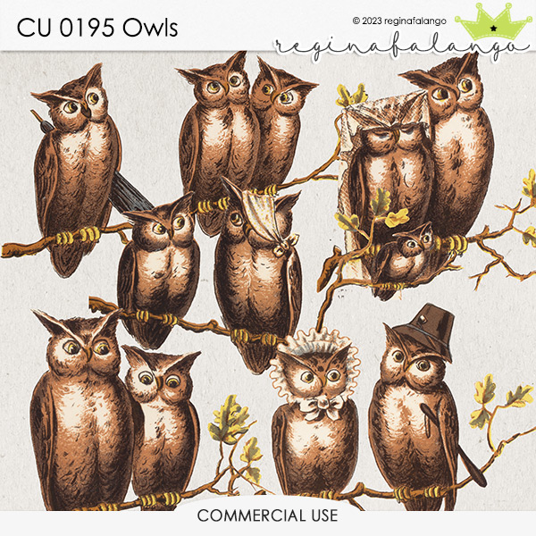 CU 0195 OWLS