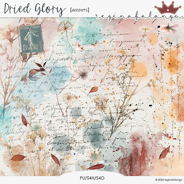 DRIED GLORY ACCENTS 