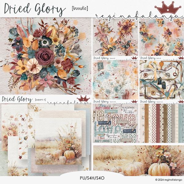 DRIED GLORY BUNDLE