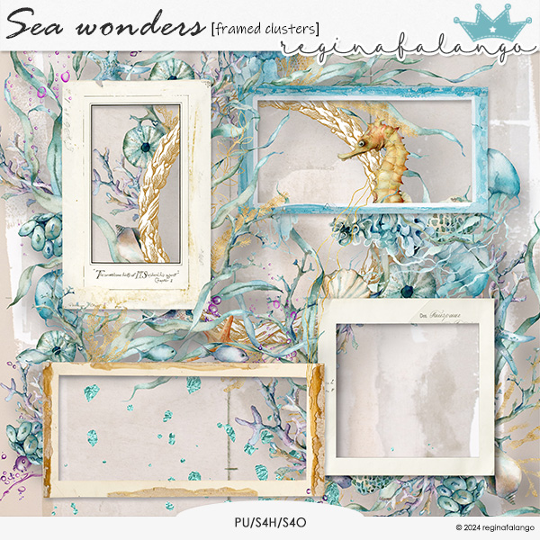 SEA WONDERS FRAMED CLUSTERS