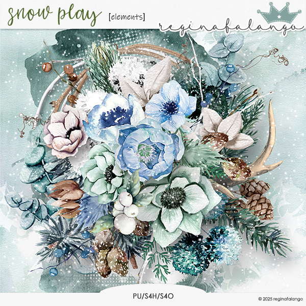 SNOW PLAY ELEMENTS