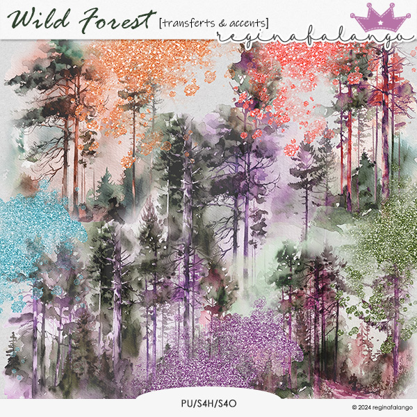 WILD FOREST TRANSFERS & ACCENTS 