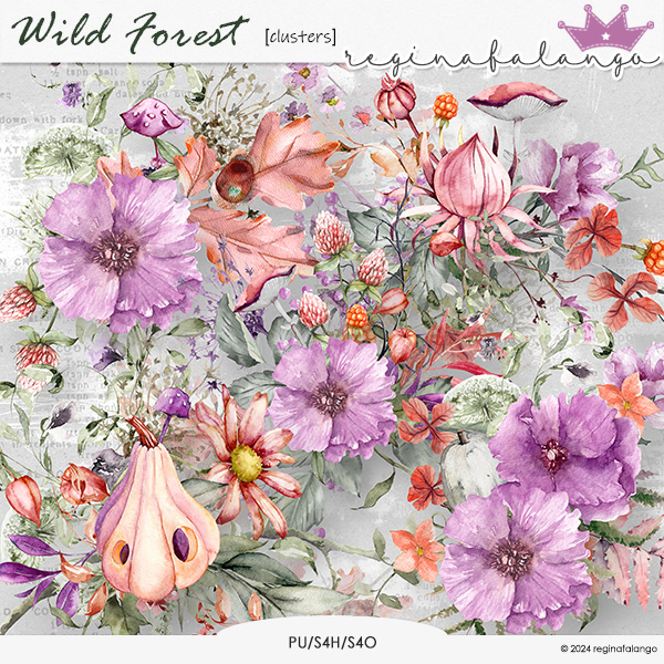 WILD FOREST CLUSTERS