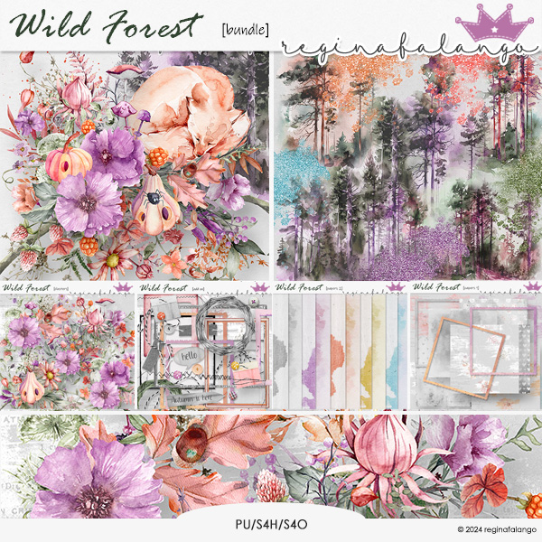 WILD FOREST BUNDLE