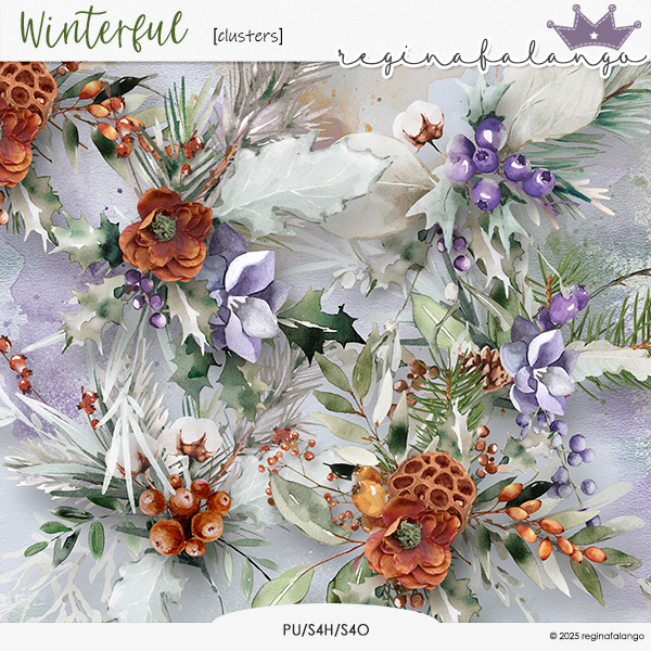 WINTERFUL CLUSTERS