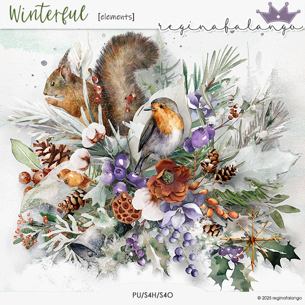 WINTERFUL ELEMENTS