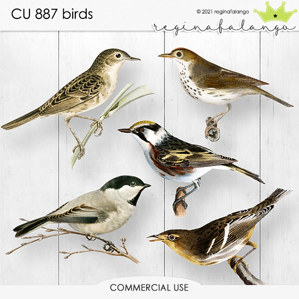 CU 887 BIRDS