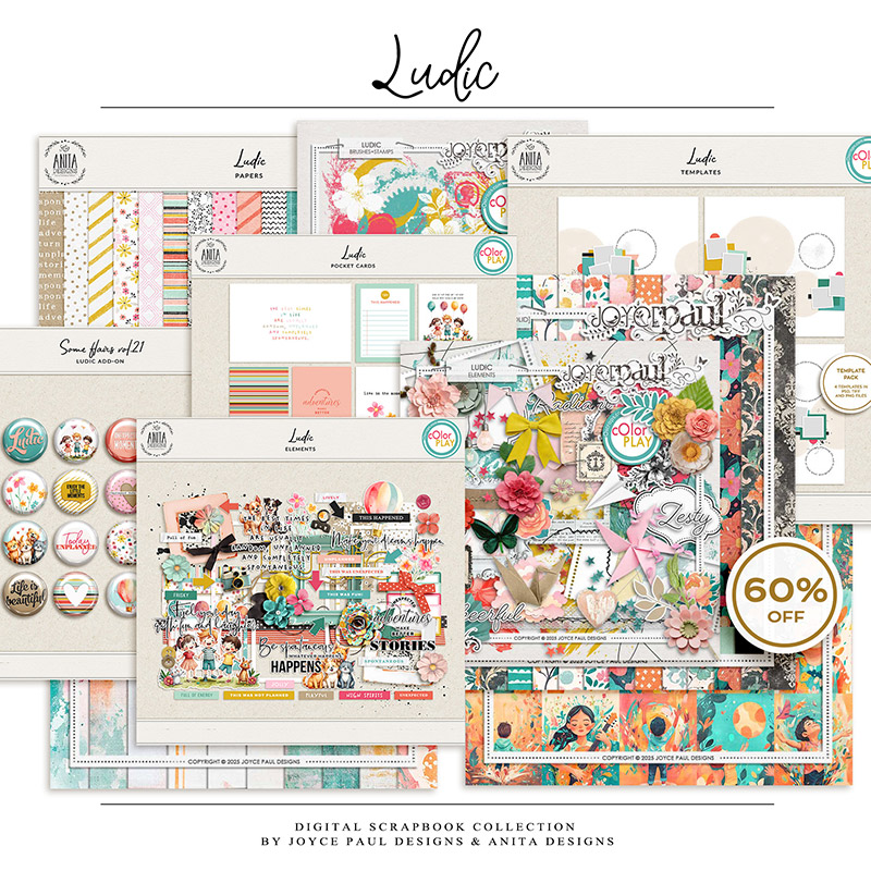 Ludic | Collection [Bundle] by Anita & Joyce