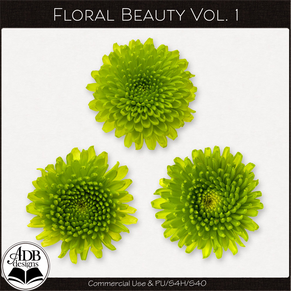 Floral Beauty Vol 01 by ADB Designs CU/PU