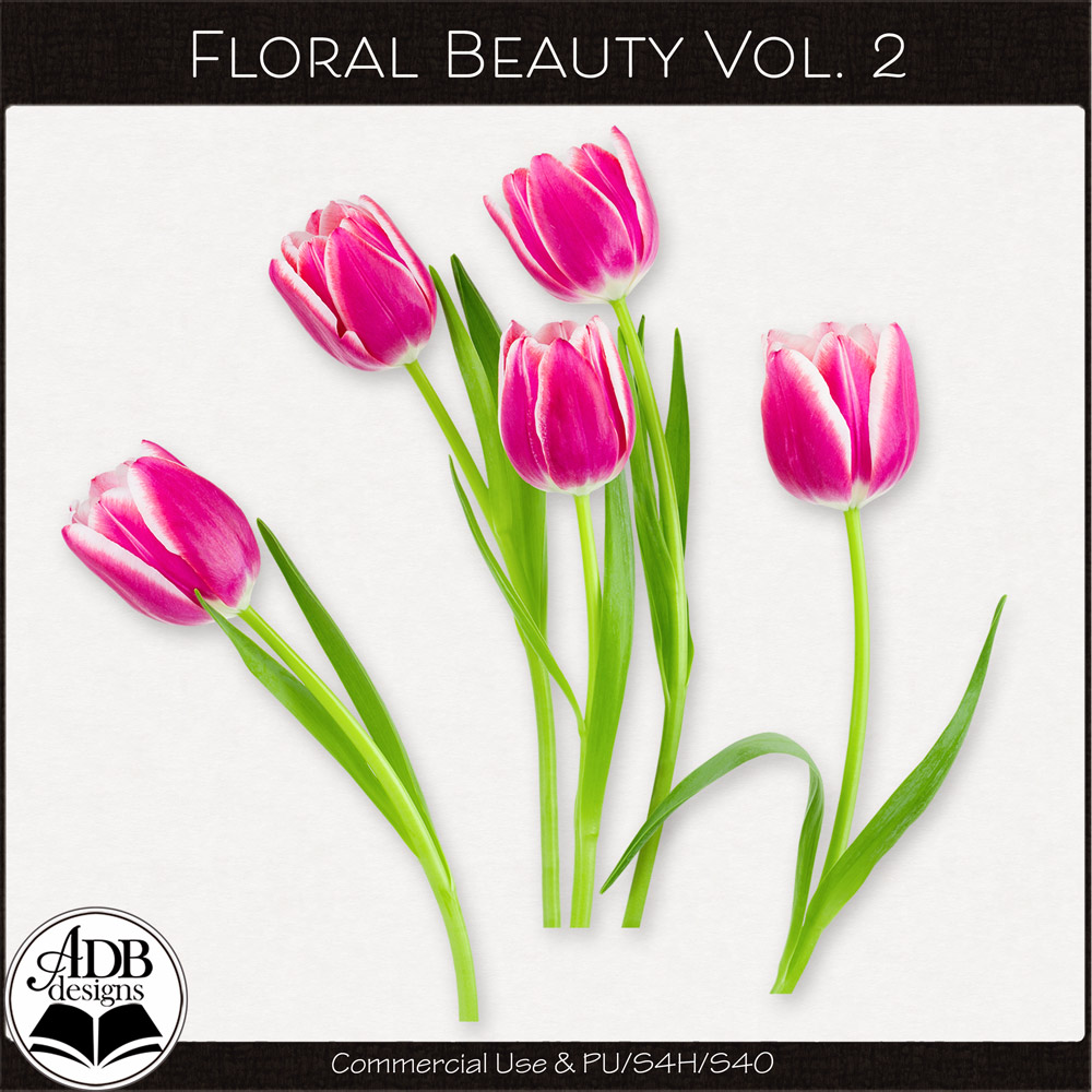 Floral Beauty Vol 02 by ADB Designs CU/PU